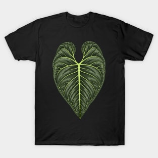 Anthurium Regale Big Leaf T-Shirt